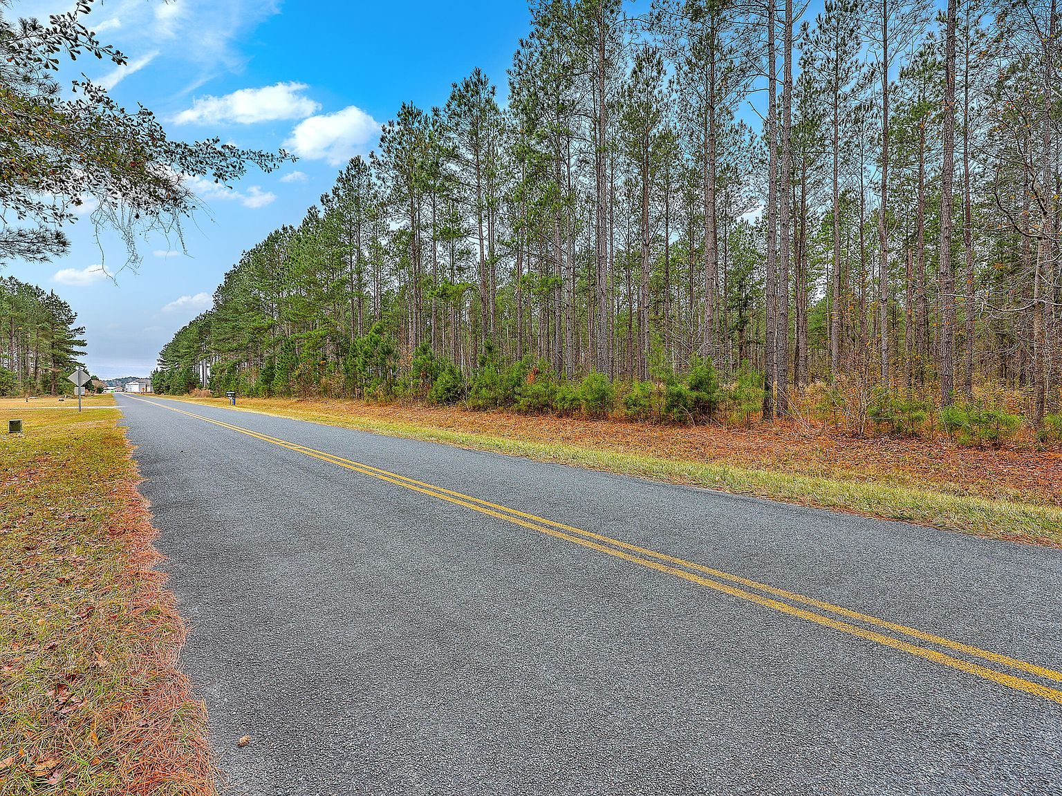 0 Shuler Belt Rd Holly Hill, SC 29059 - Thumbnail 3