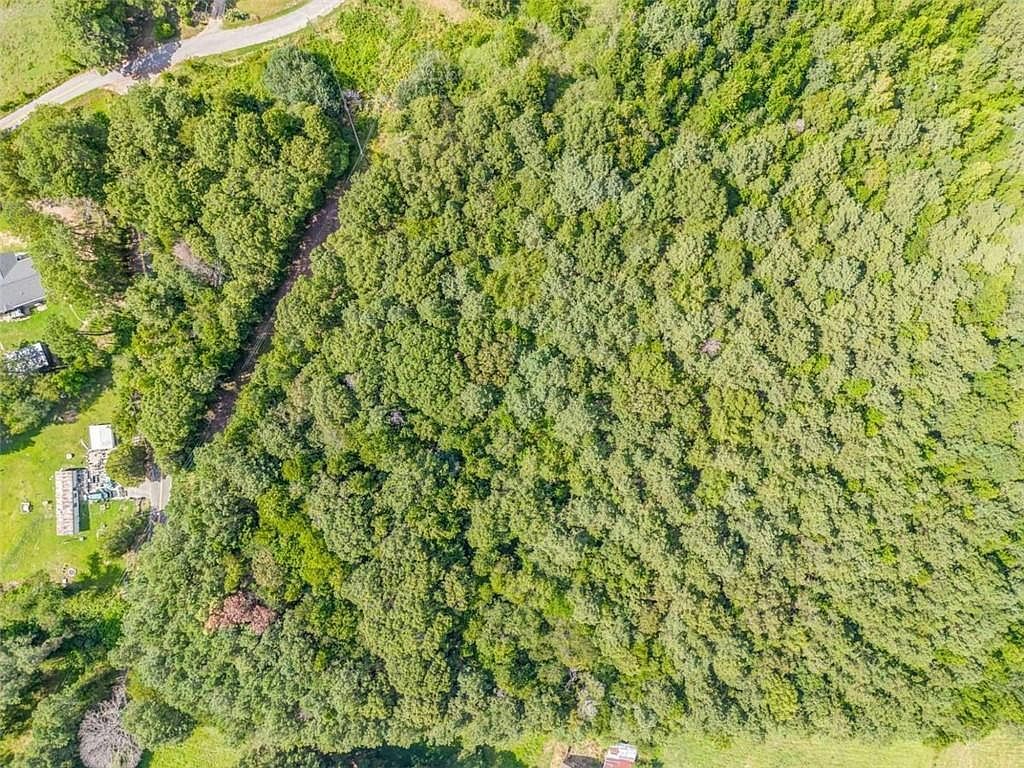 0 Richard Pullen Rd Cedartown, GA 30125 - Thumbnail 3