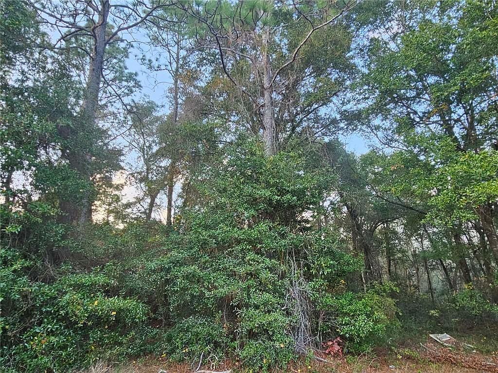 0 State Highway 98 Wilmer, AL 36587 - Thumbnail 3