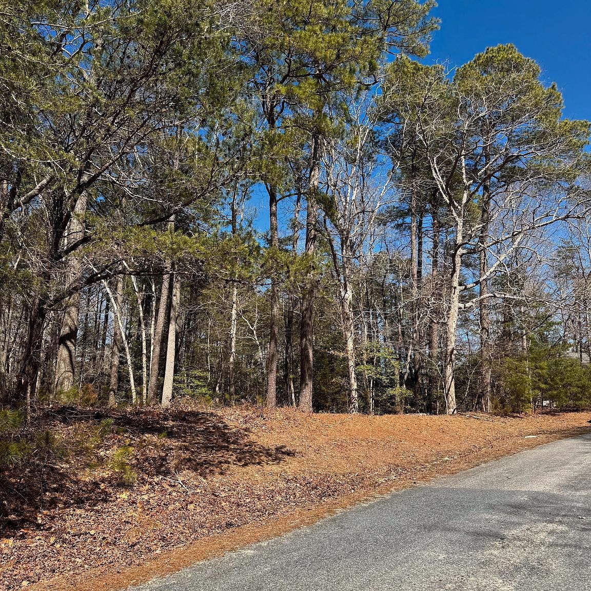 0 Mutiny Dr Greenbackville, VA 23356 - Thumbnail 3