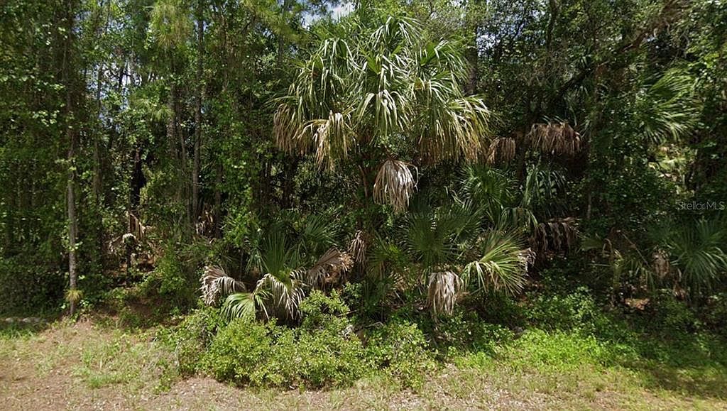 Apricot St Lot 8 North Pt, FL 34288 - Thumbnail 3