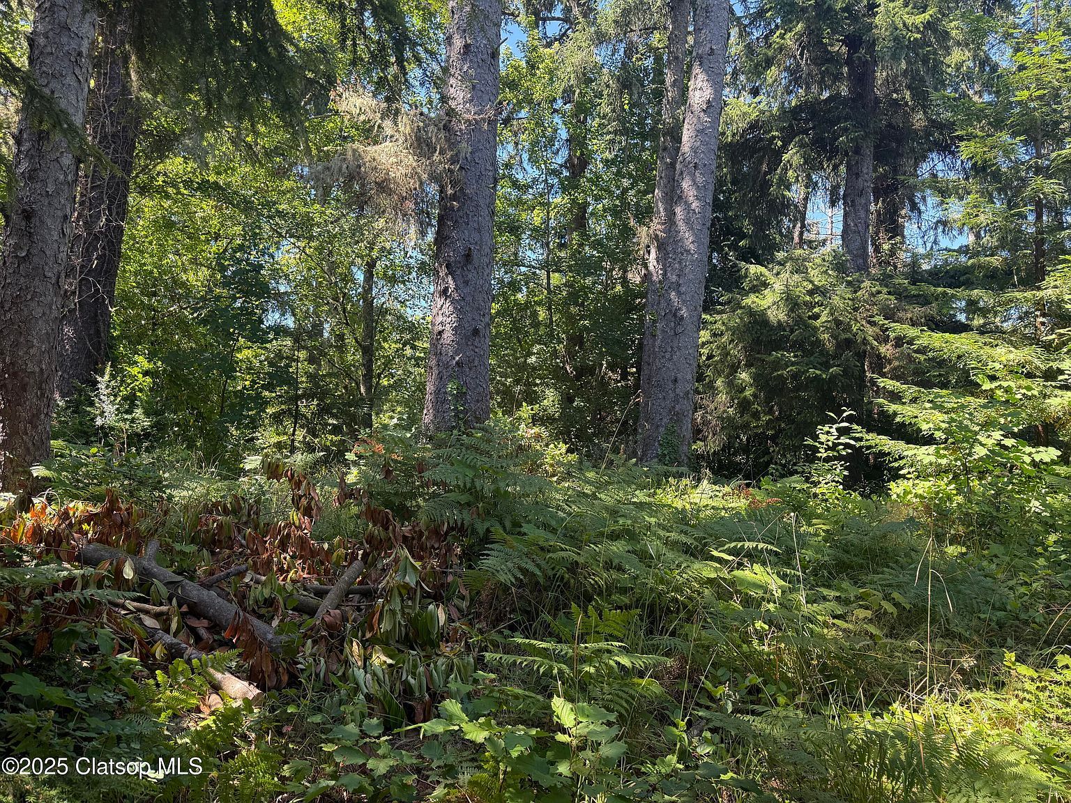 Whiskey Rd Warrenton, OR 97146 - Thumbnail 3