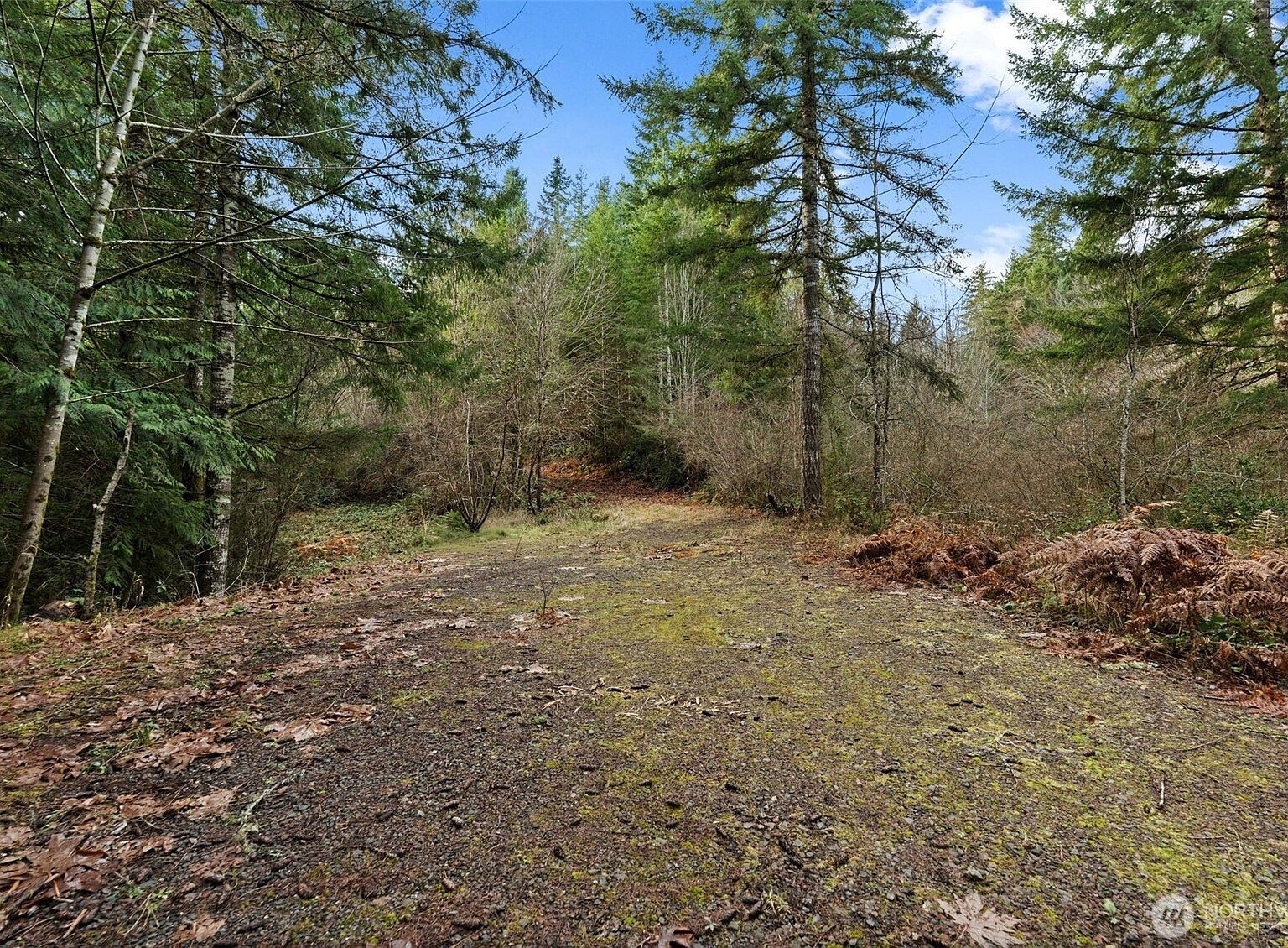0 Willow Rd SE Pt Orchard, WA 98367 - Thumbnail 3