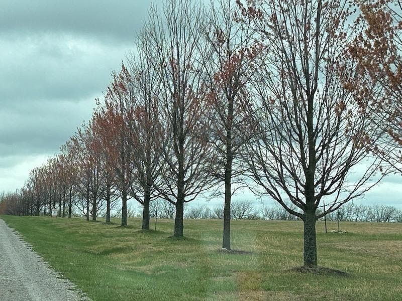 10500 E 329th St Drexel, MO 64742 - Thumbnail 3