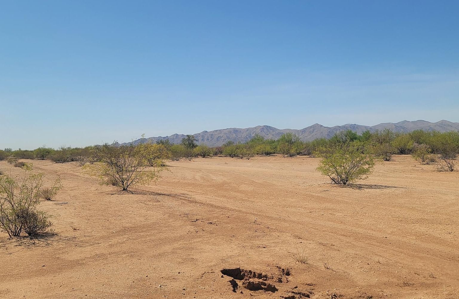 237X-4 W Jomax Rd Surprise, AZ 85387 - Thumbnail 3