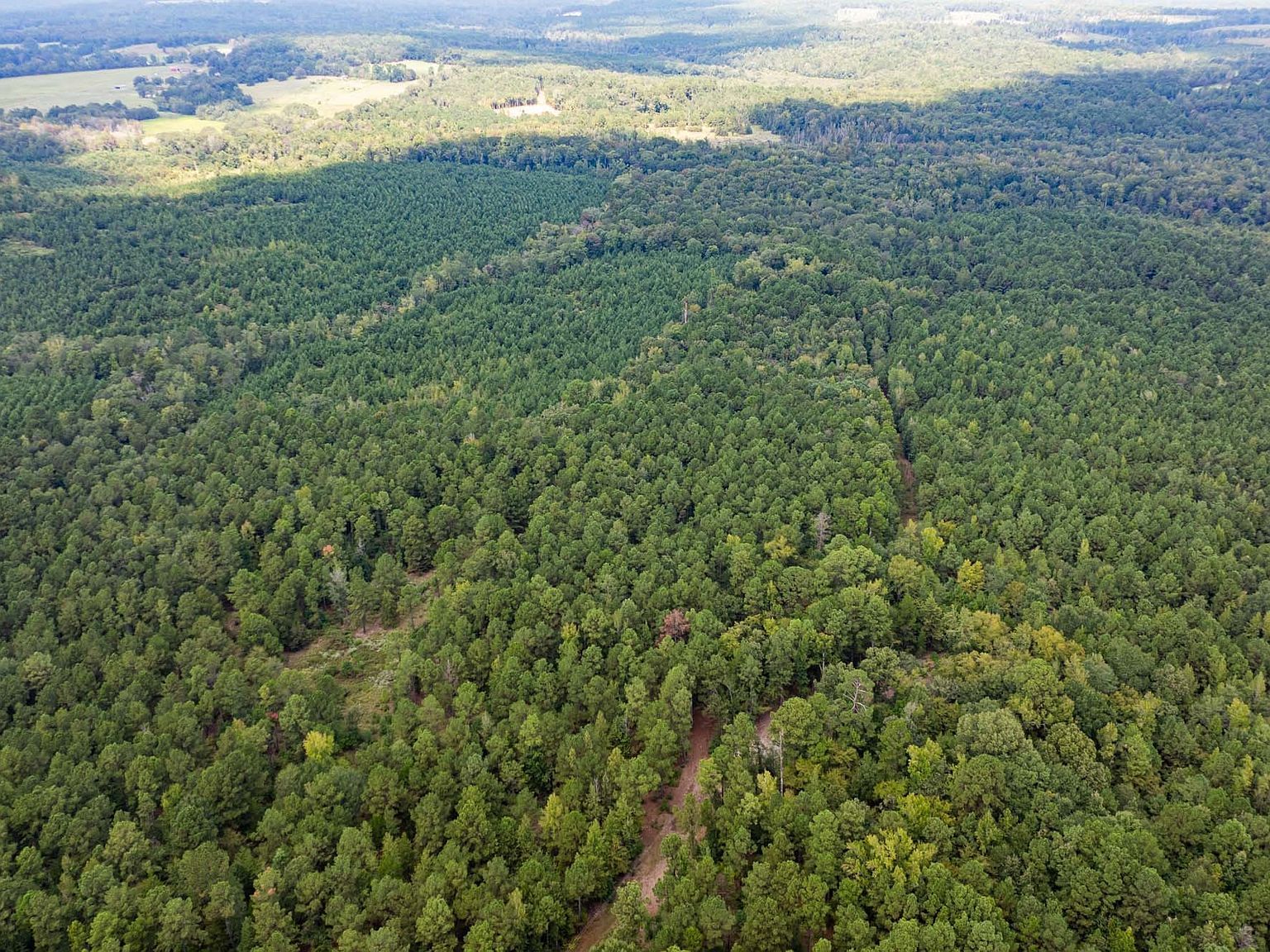 County Road 1582 Avinger, TX 75630 - Thumbnail 3