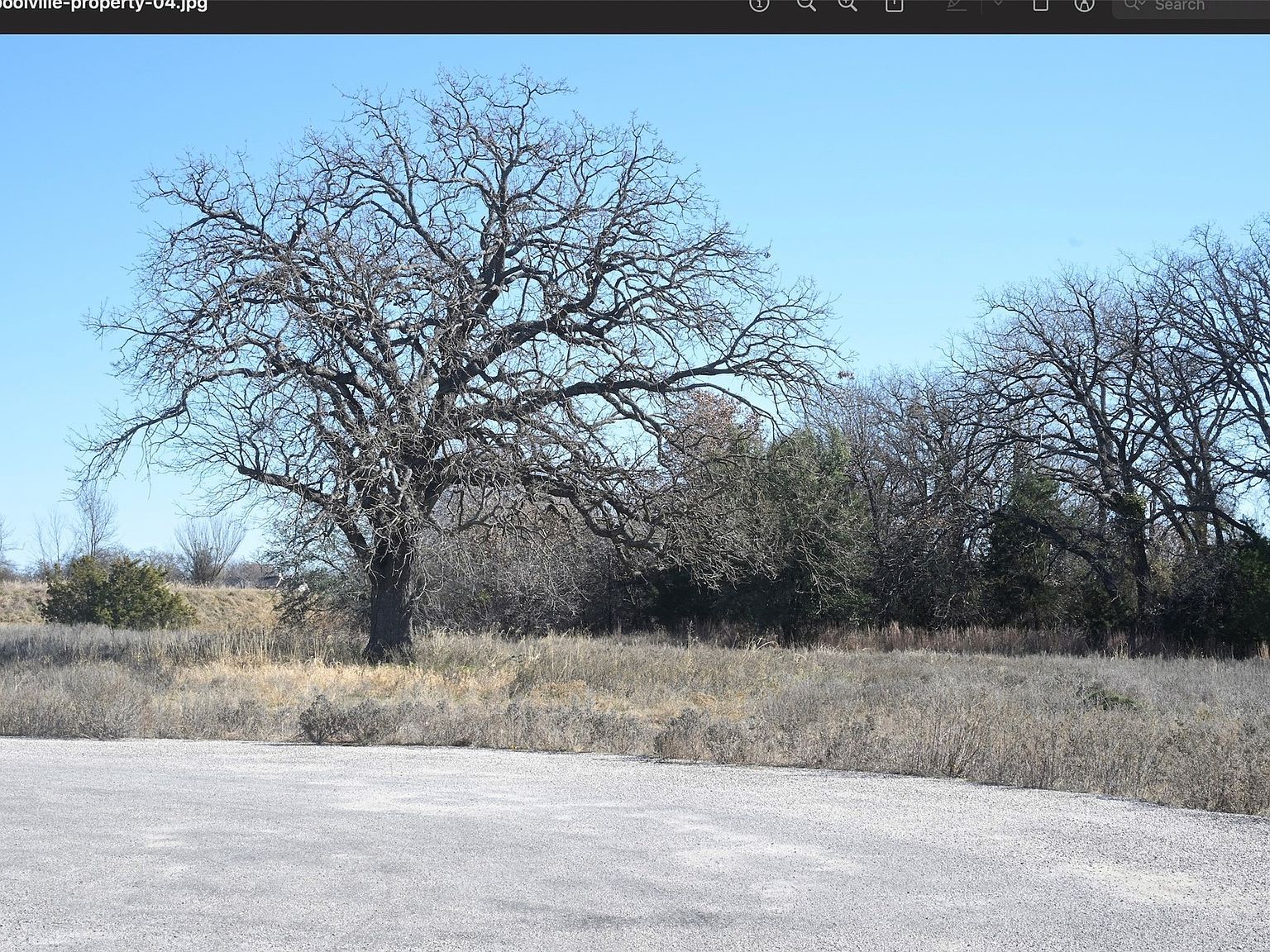 137 Aslan Rd Poolville, TX 76487 | Land/Lot