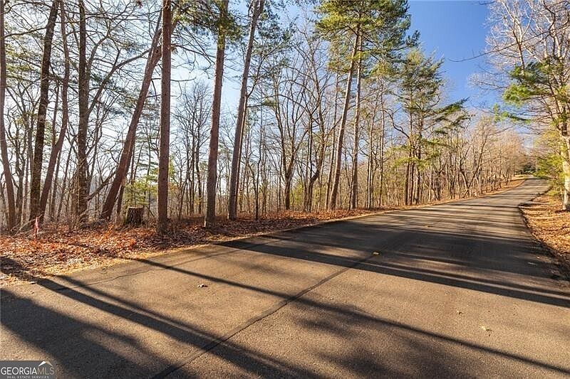 0 Outback Ridge Trl Jasper, GA 30143 - Thumbnail 3