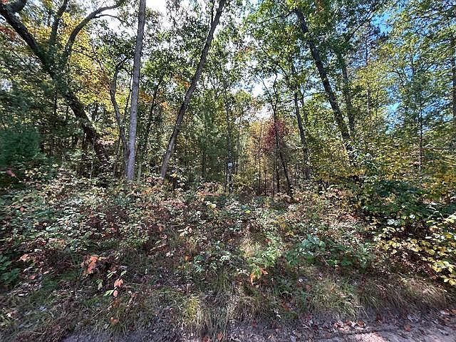 V/l W Meinert Rd Montague, MI 49437 - Thumbnail 3