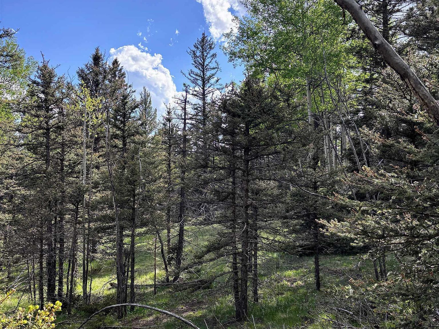 LOT 1042 Starshine Overlook Angel Fire, NM 87710 - Thumbnail 3