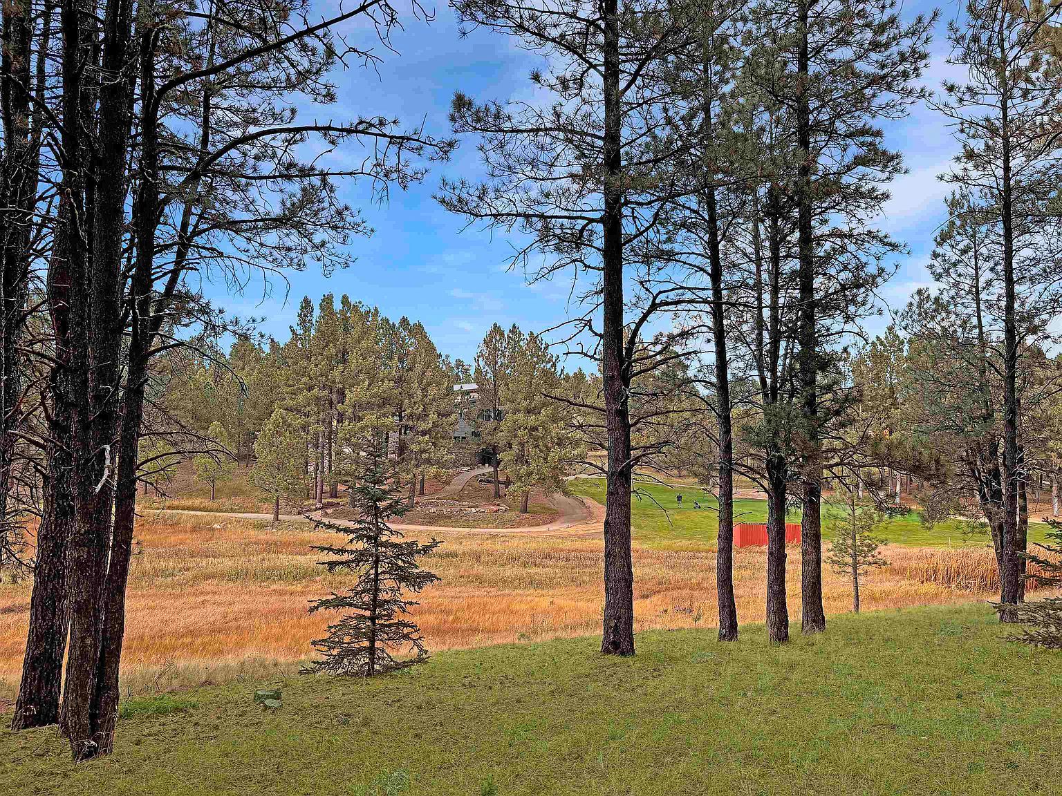 LOT 1133 Spyglass Hill Rd Angel Fire, NM 87710 - Thumbnail 3