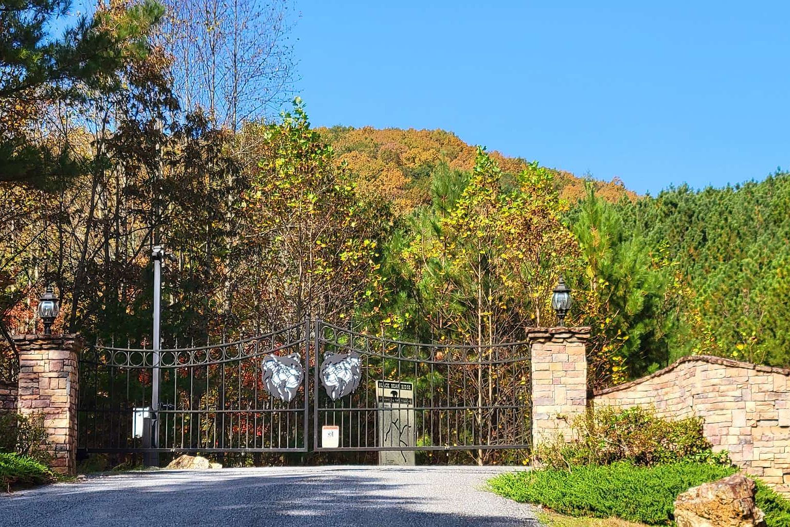 LOT 6 Black Bear Ridge Rd Ellijay, GA 30536 - Thumbnail 3