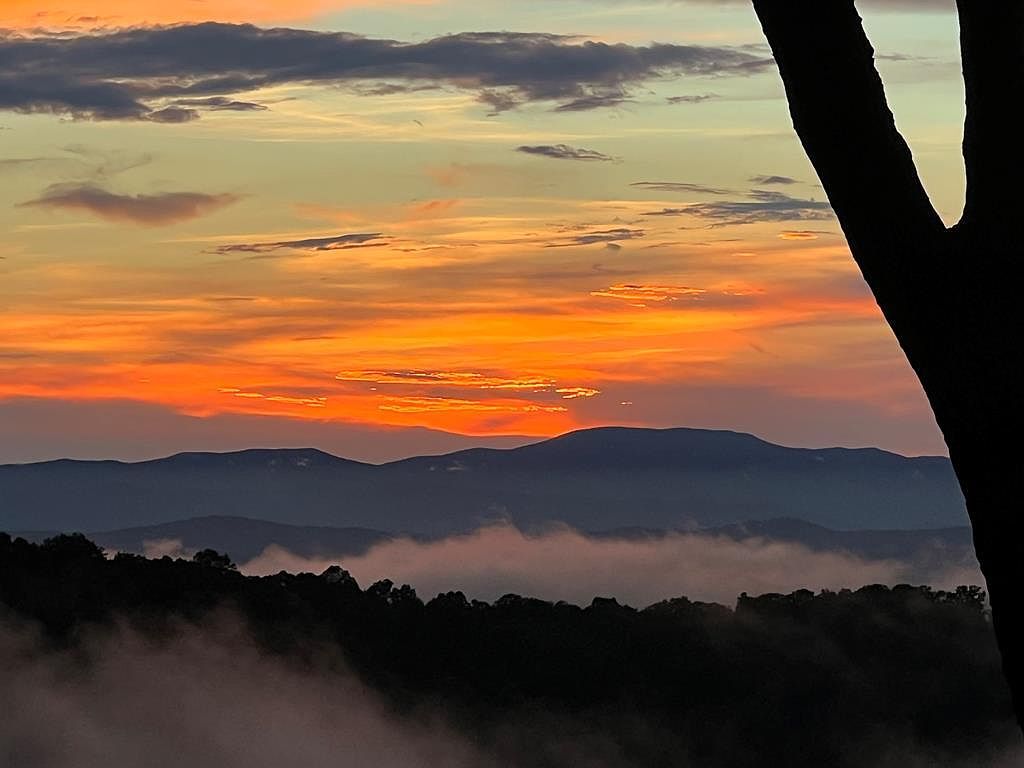 195 Hoot Owl Rdg Morganton, GA 30560 - Thumbnail 3