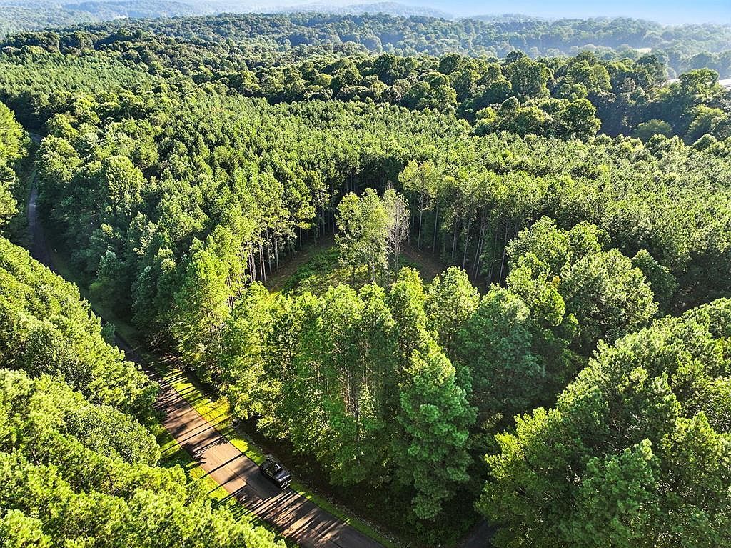 31&32 Foxpaw Leaf Ln Ellijay, GA 30536 - Thumbnail 3