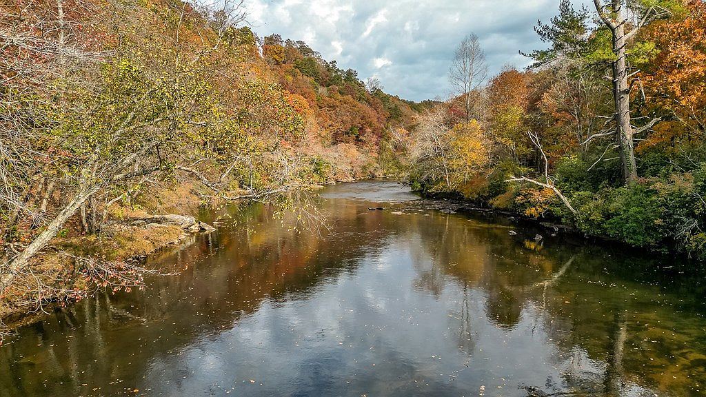 178 Novena Ct Ellijay, GA 30540 - Thumbnail 3