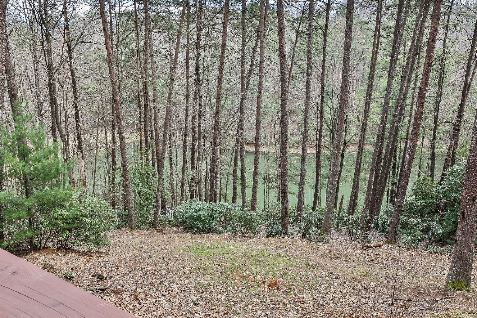 60 Clubhouse Ct Ellijay, GA 30536 - Thumbnail 3