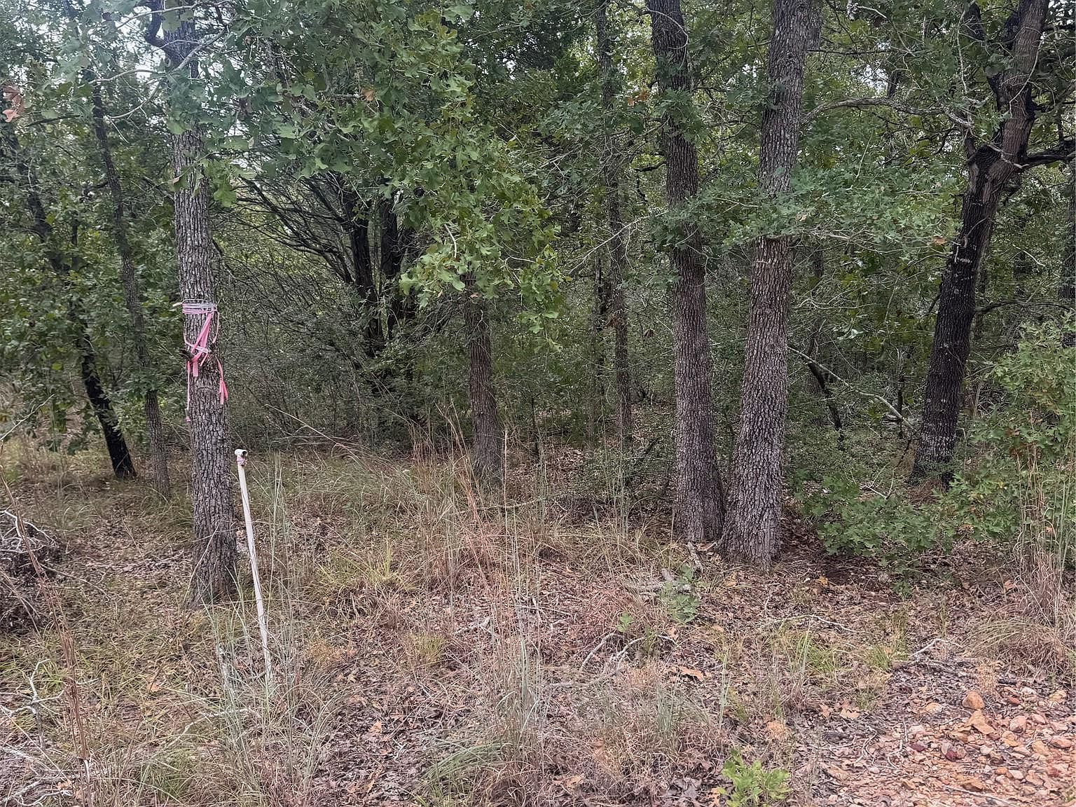 6 Spruce St Paige, TX 78659 - Thumbnail 3