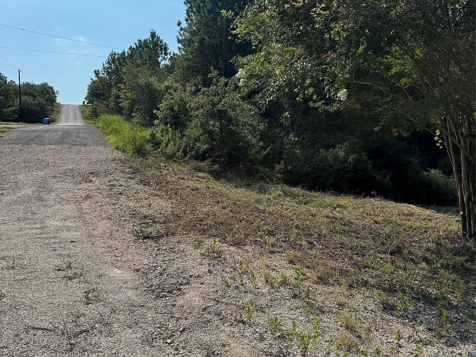 131 Nakalele Ln Bastrop, TX 78602 - Thumbnail 3