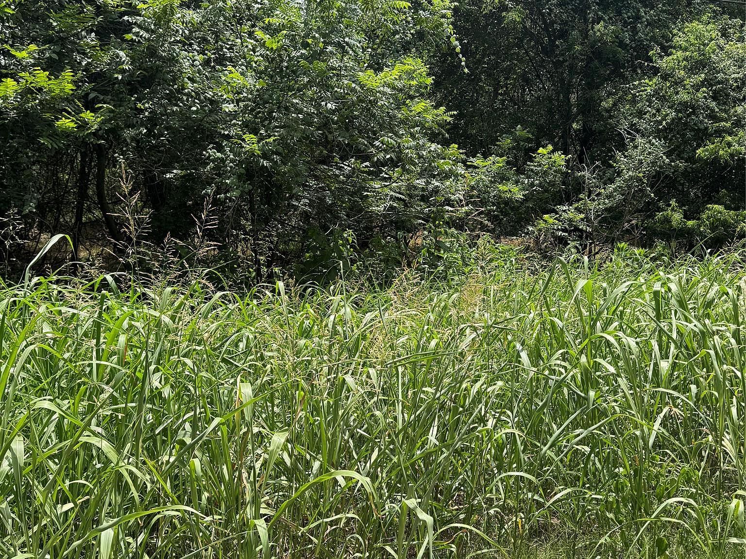 LOT 908 Kahana Ln Bastrop, TX 78602 - Thumbnail 3