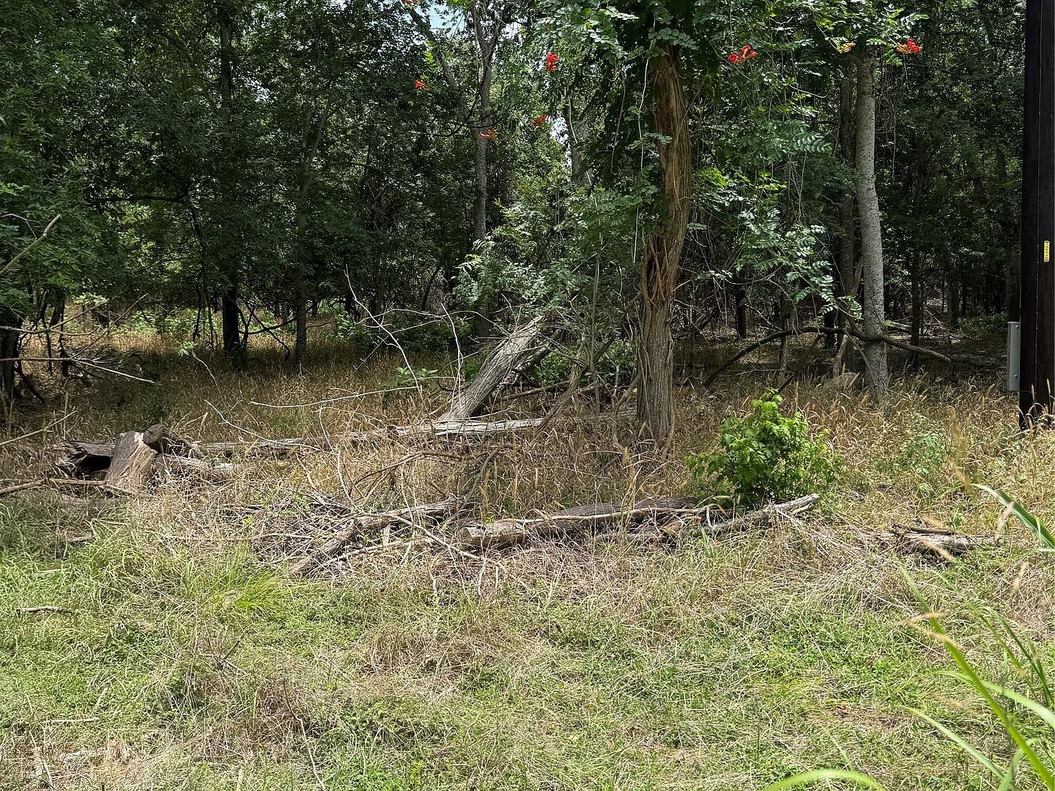 LOT 904 Kahana Ln Bastrop, TX 78602 - Thumbnail 3