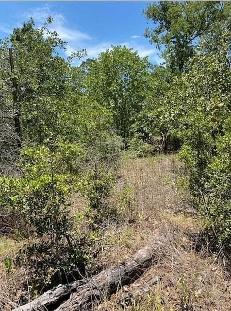 LOT 1123 Koali Dr Bastrop, TX 78602 - Thumbnail 3
