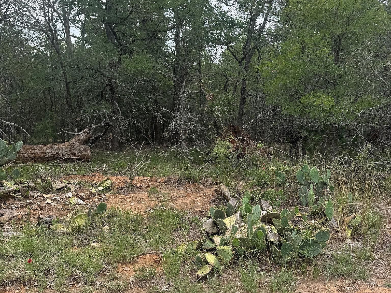 108 Howi Ln Bastrop, TX 78602 - Thumbnail 3