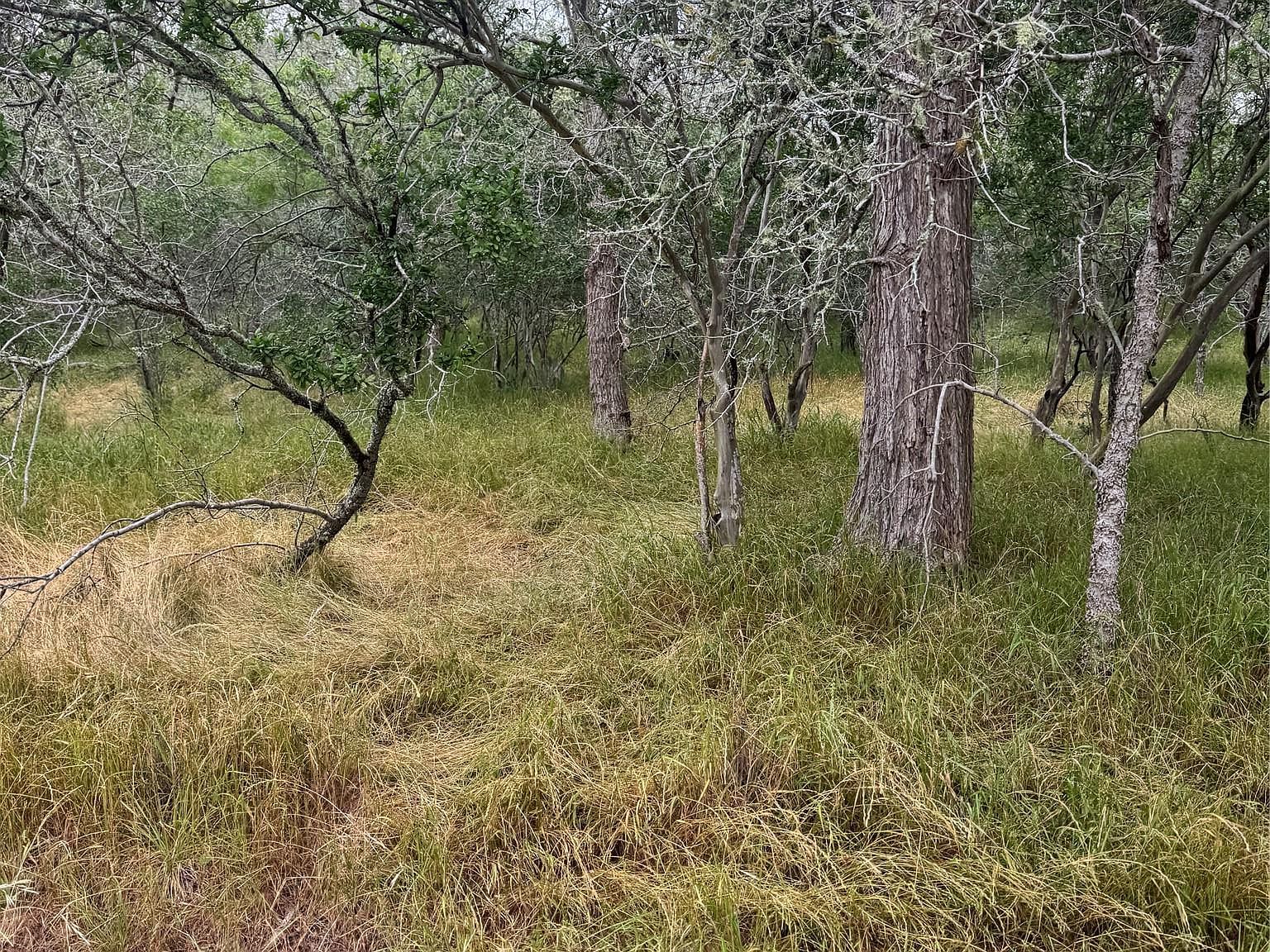 109 Hauula Ct Bastrop, TX 78602 - Thumbnail 3