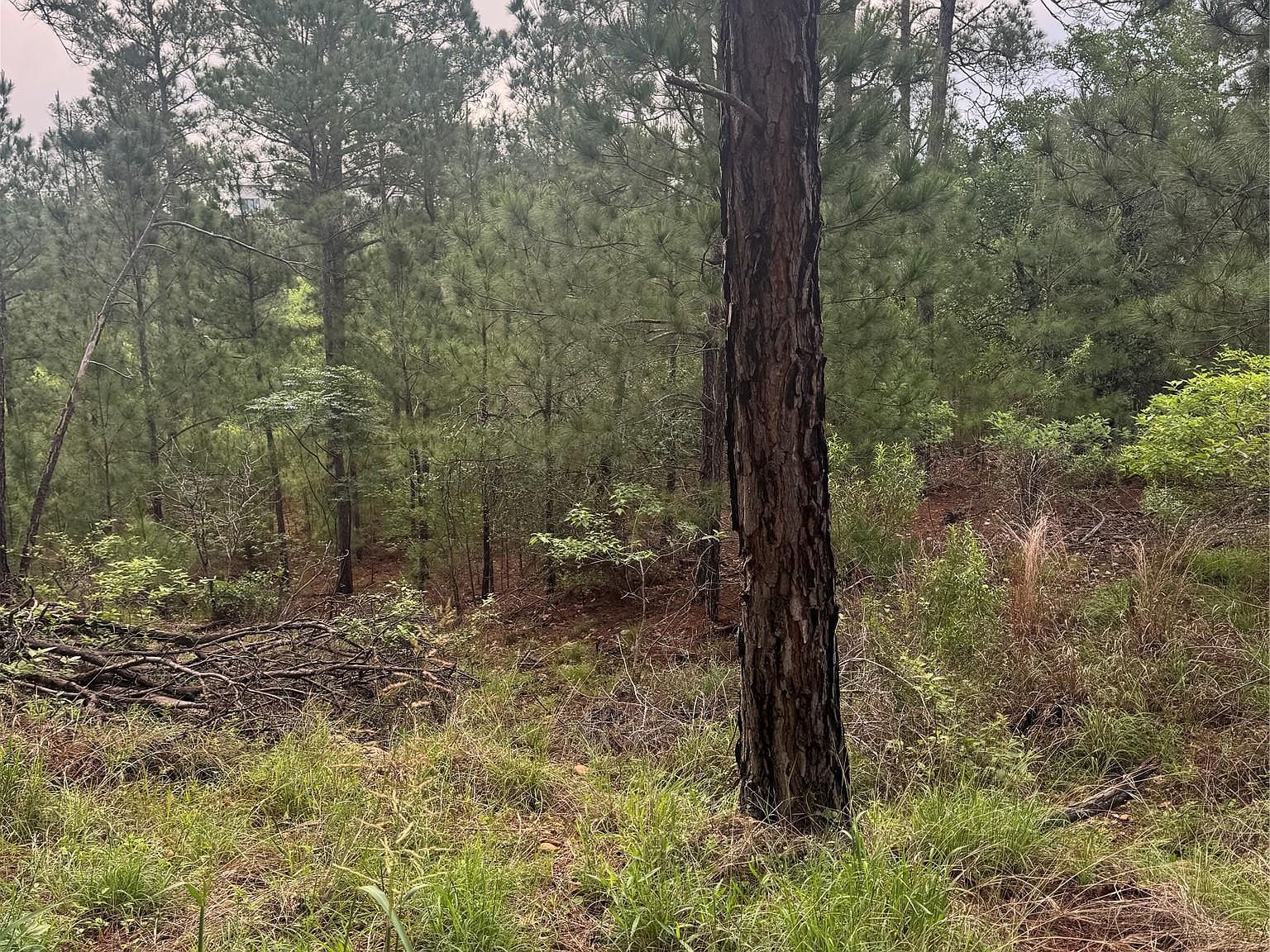 LOT 1490 Haleakala Dr Bastrop, TX 78602 - Thumbnail 3