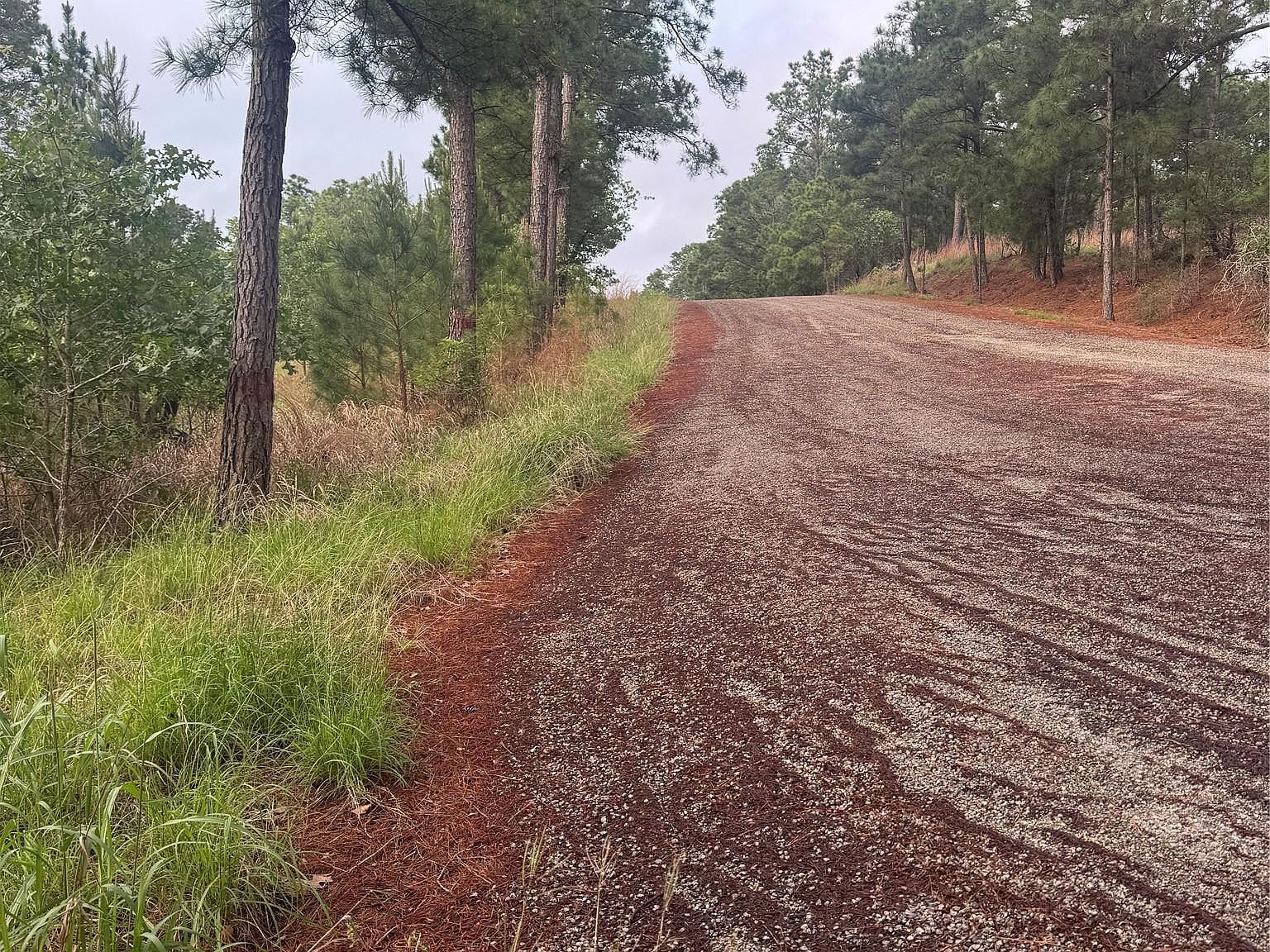 LOT 1491 Haleakala Dr Bastrop, TX 78602 - Thumbnail 3