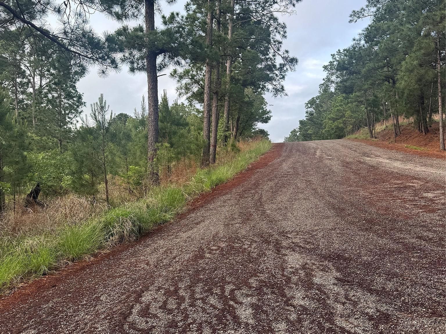 LOT 1492 Haleakala Dr Bastrop, TX 78602 - Thumbnail 3