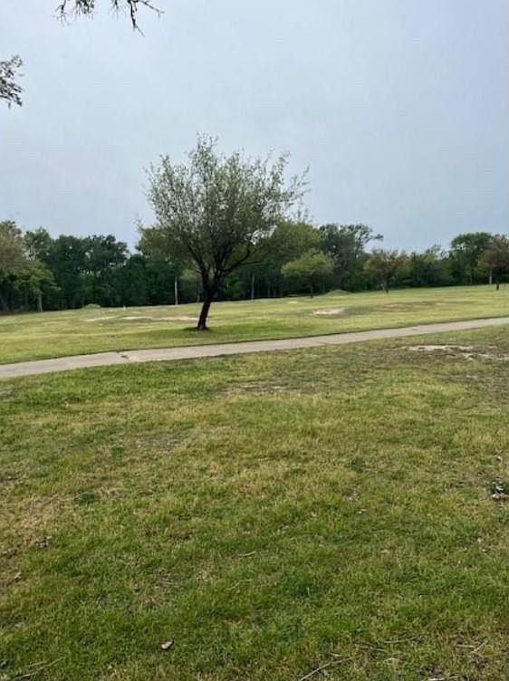 LOT 755 Bali Hai Ln Bastrop, TX 78602 - Thumbnail 3