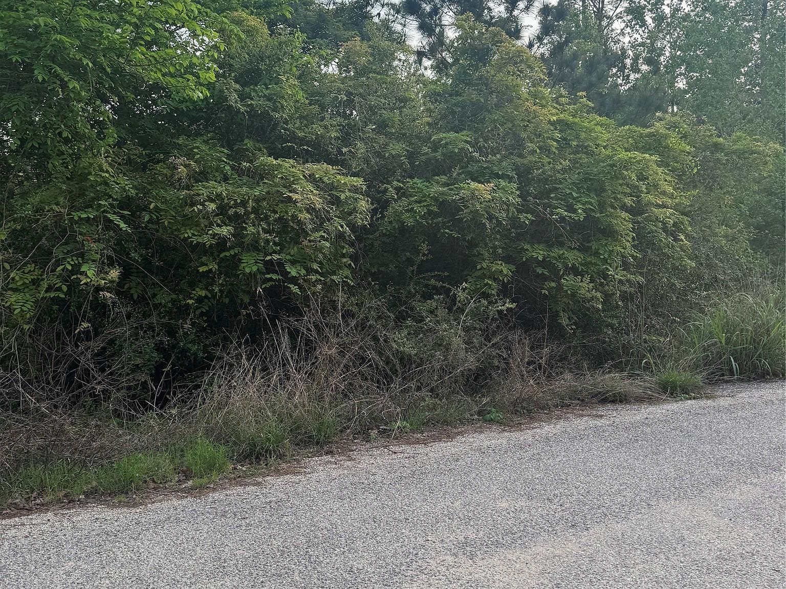 LOT 1386 N Pahihi Dr #1386 Bastrop, TX 78602 - Thumbnail 3