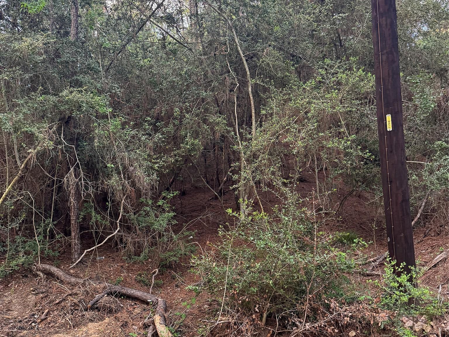 Lots 158 And 159 Hekili Dr Bastrop, TX 78602 - Thumbnail 3