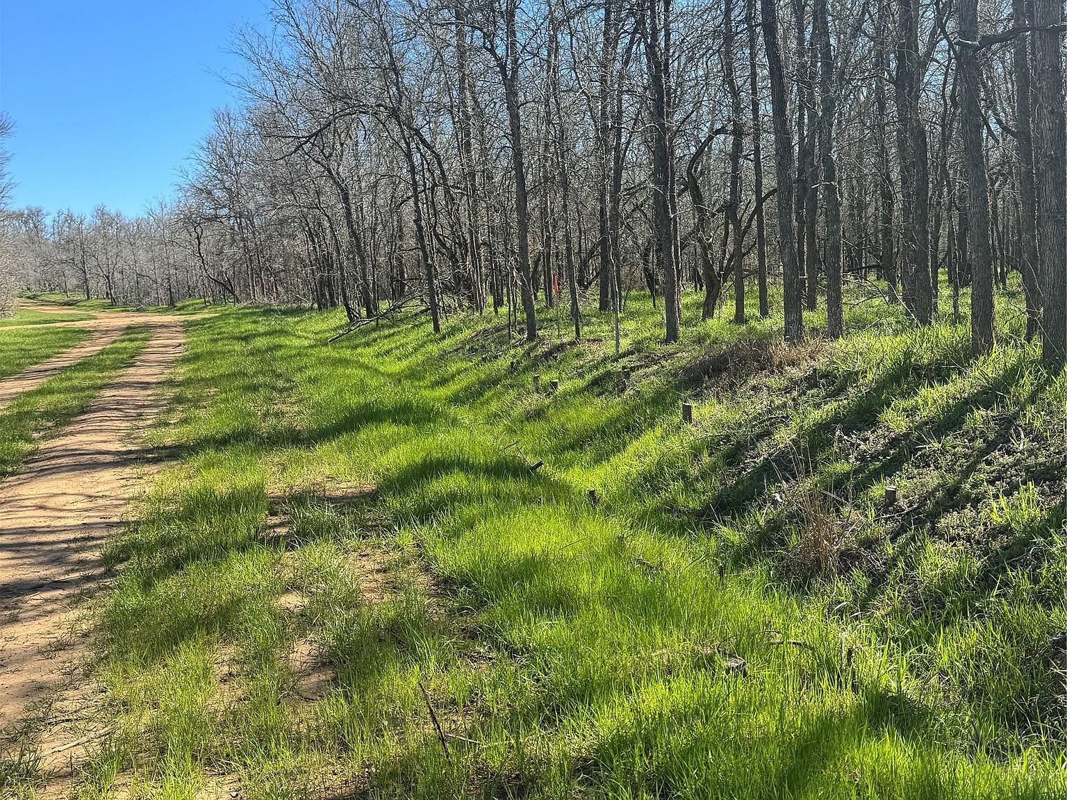 289 Iva Ln Bastrop, TX 78602 - Thumbnail 3