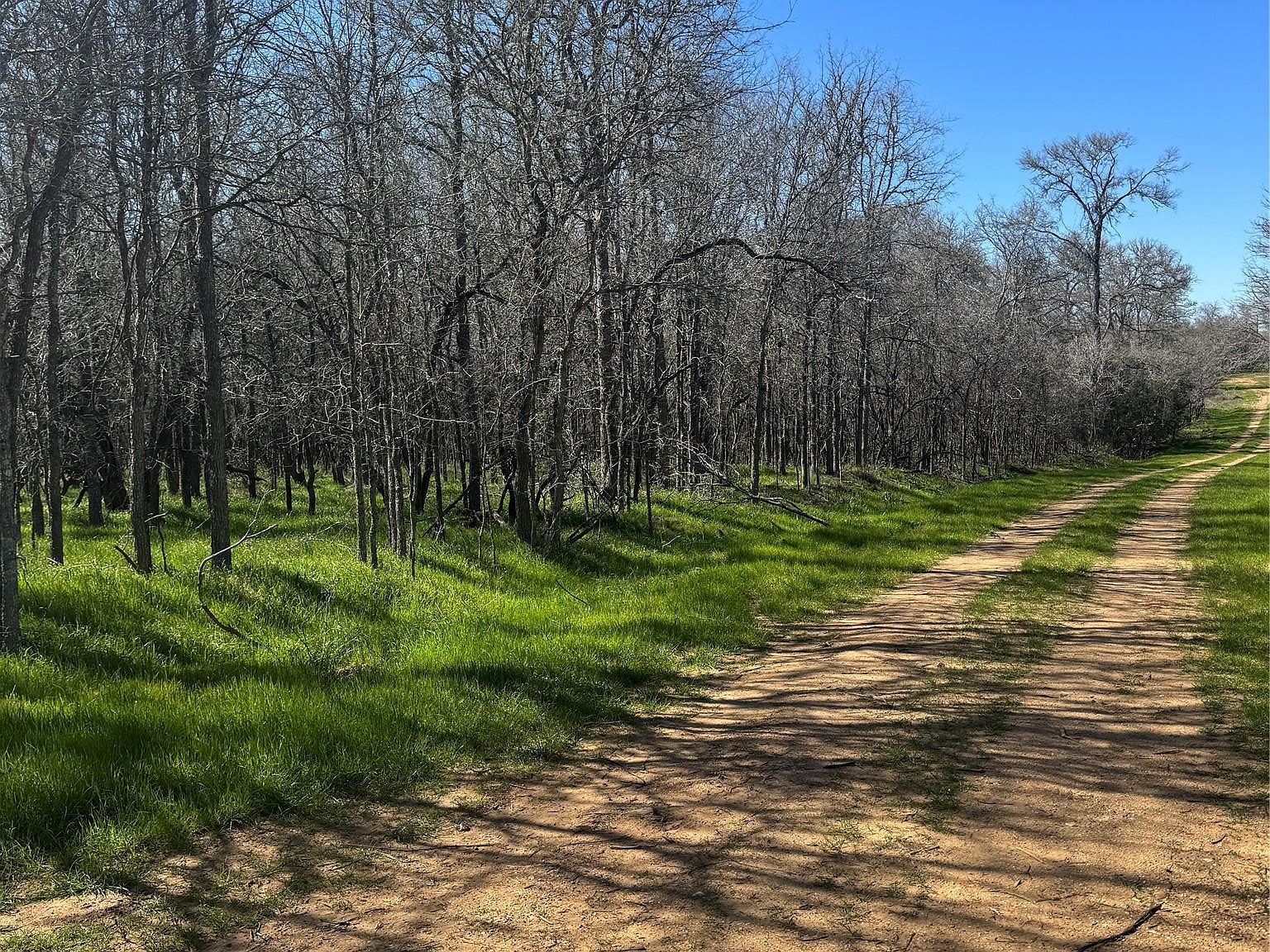 LOT 500 Kaaawa Ln Bastrop, TX 78602 - Thumbnail 3