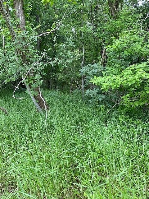 LOT 812 Kaukonahua Ln Bastrop, TX 78602 - Thumbnail 3