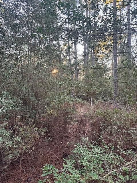 103 Lake Point Way Bastrop, TX 78602 - Thumbnail 3