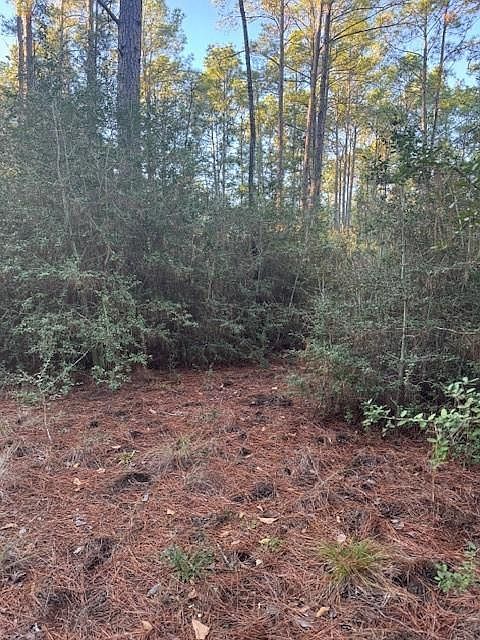 107 Lake Point Way Bastrop, TX 78602 - Thumbnail 3