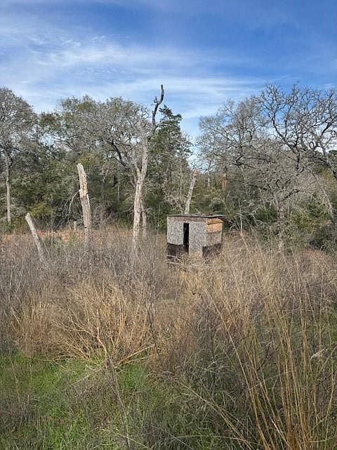 306 Travis Rd Paige, TX 78659 - Thumbnail 3