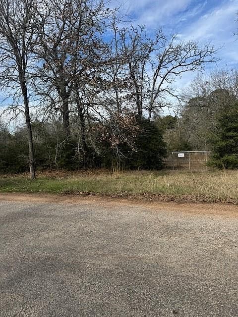 LOT 95 Travis Rd Paige, TX 78659 - Thumbnail 3