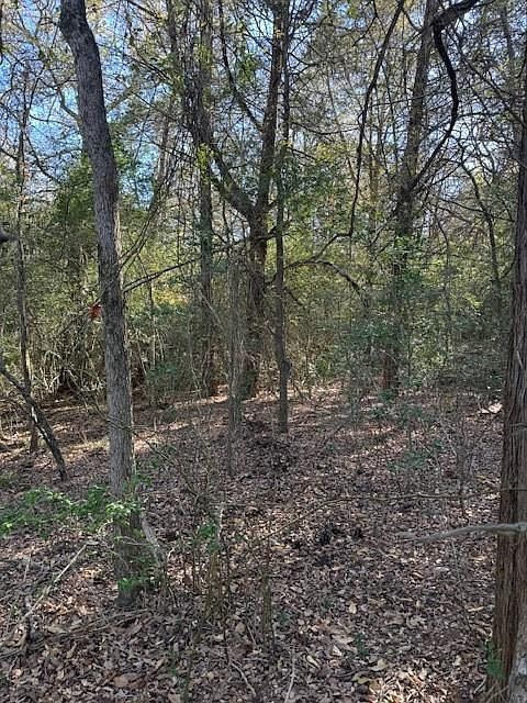 125 Helemano Dr Bastrop, TX 78602 - Thumbnail 3