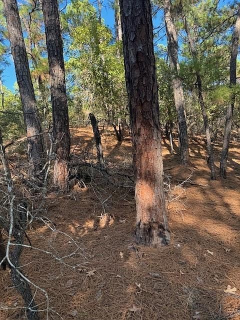 LOT 1395 Kaupa Ct Bastrop, TX 78602 - Thumbnail 3