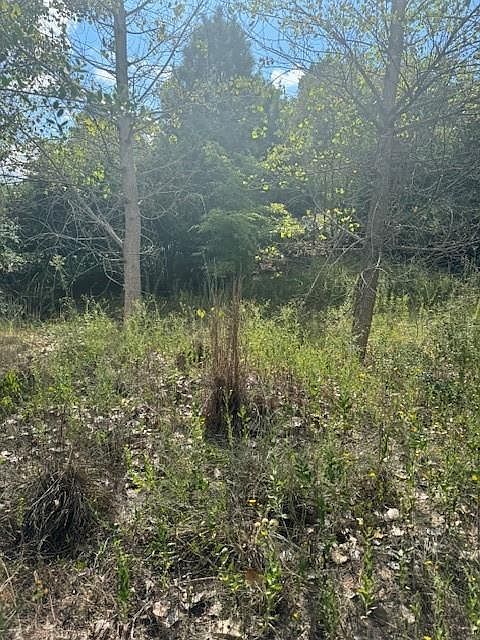 LOT 1338 Tahitian Dr Bastrop, TX 78602 - Thumbnail 3