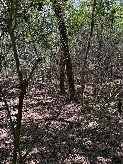 129 Helemano Dr Bastrop, TX 78602 - Thumbnail 3