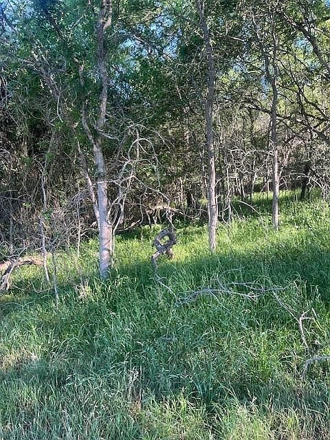 LOT 786 Kaukonahua Ln Bastrop, TX 78602 - Thumbnail 3