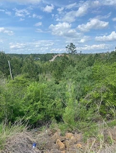 LOT 4 Kainalu Ln Bastrop, TX 78602 - Thumbnail 3