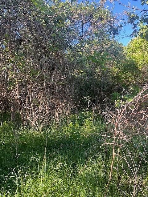 167 Kahana Ln Bastrop, TX 78602 - Thumbnail 3