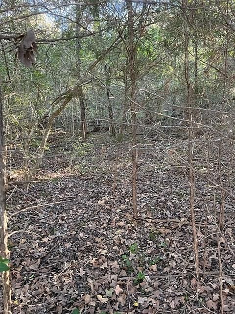 LOT 632 Hilea Ct Bastrop, TX 78602 - Thumbnail 3