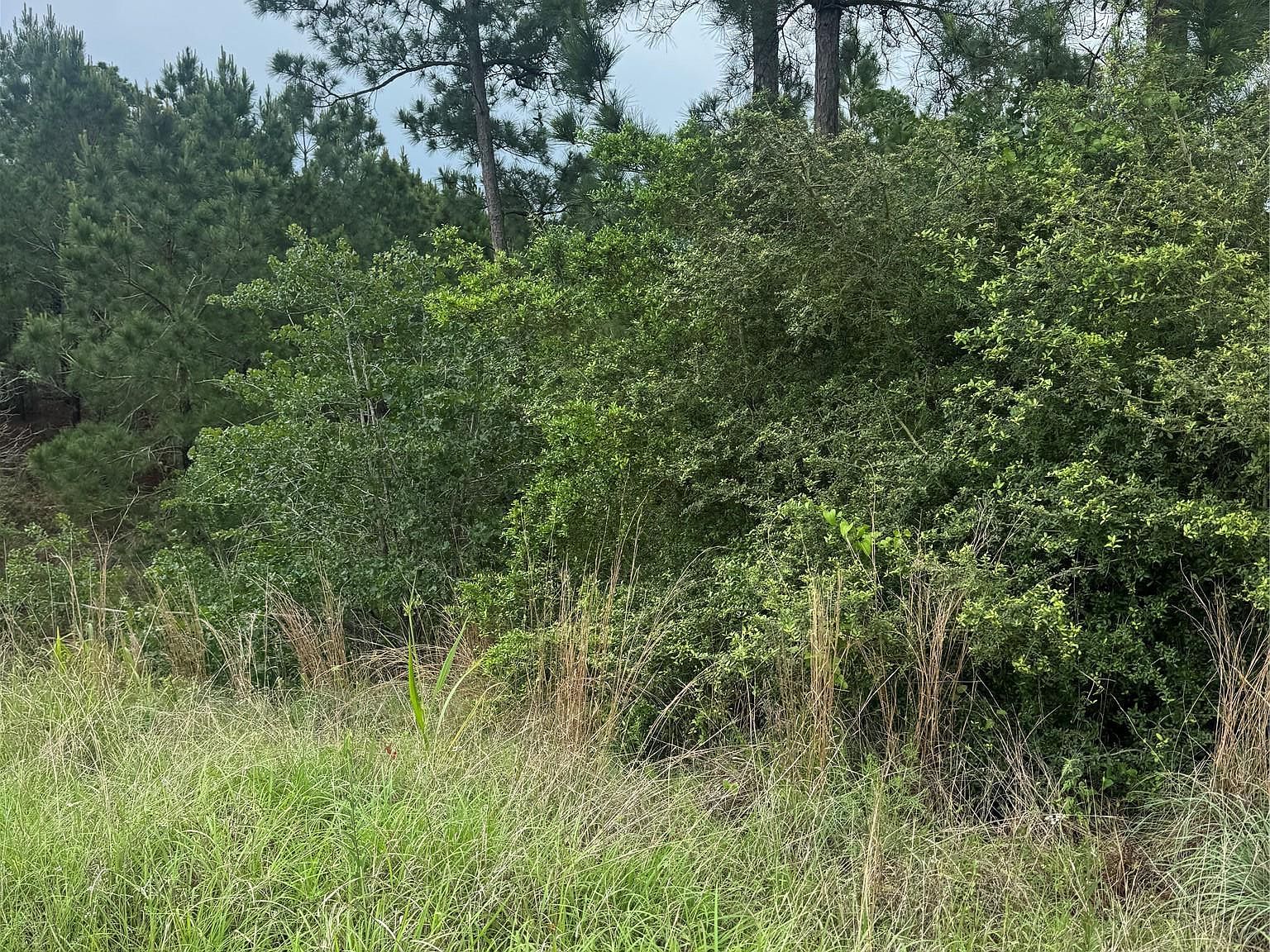 Lots 1612 1613 1614 Kaanapali Ln Bastrop, TX 78602 - Thumbnail 3