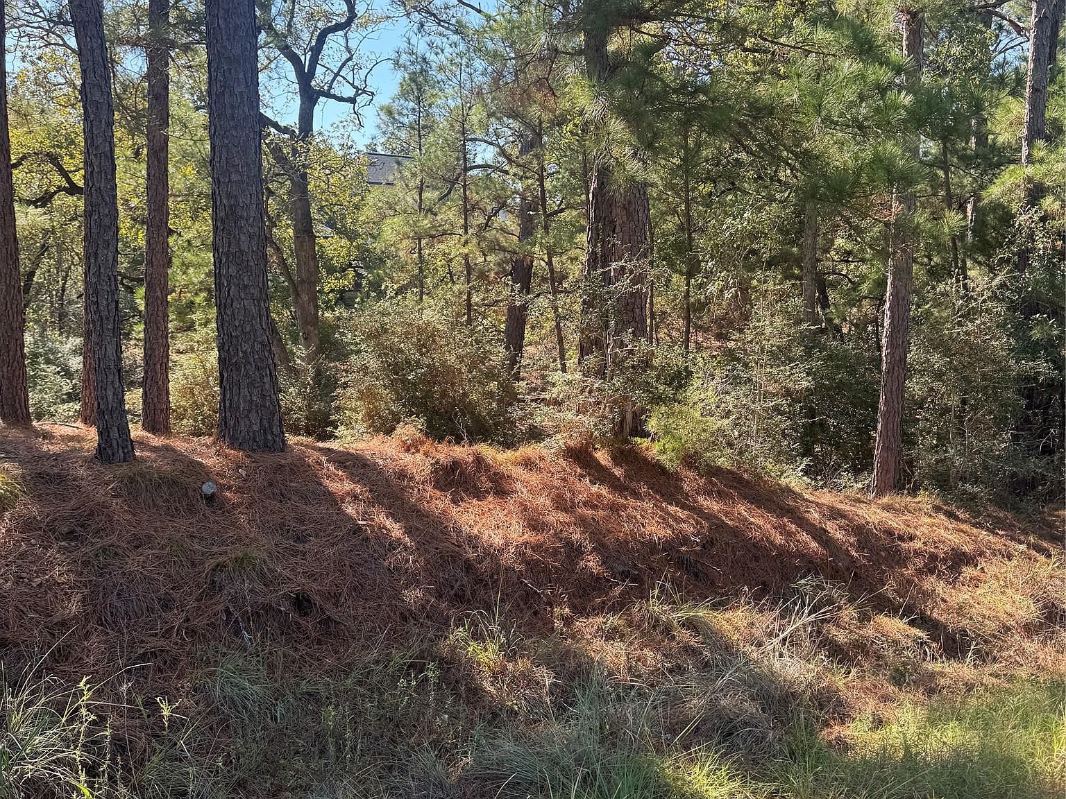 97 Kaelepulu Dr Bastrop, TX 78602 - Thumbnail 3